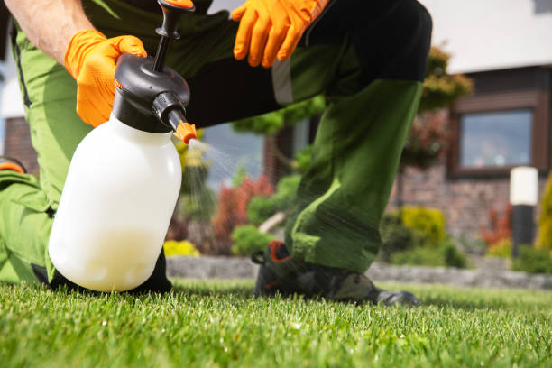 Best Residential Pest Control  in Byron, CA