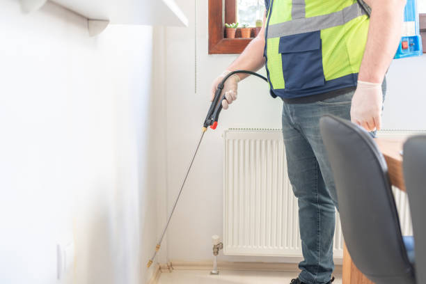 Best Pest Control Near Me in Byron, CA