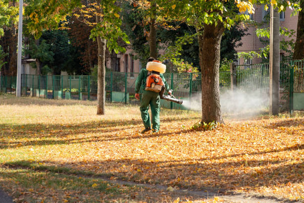 Best Pest Control Near Me  in Byron, CA