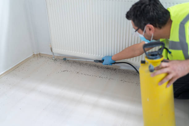 Best Pest Removal Services  in Byron, CA