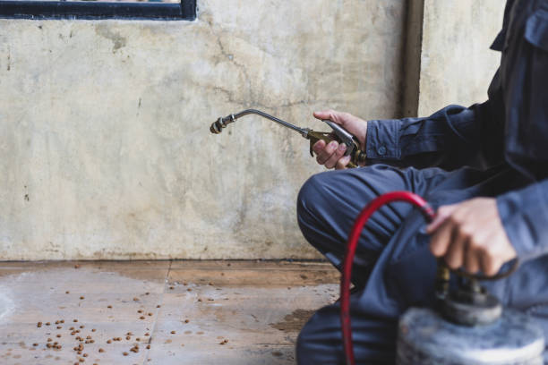 Best Emergency Pest Control  in Byron, CA